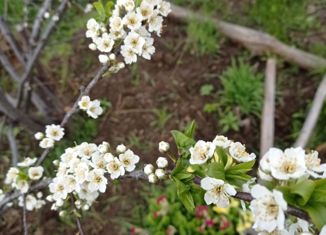 Участок на продажу, 8.8 сот., Углич