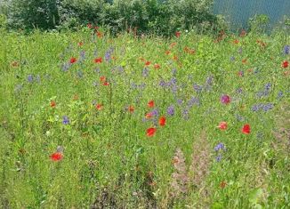 Продается земельный участок, 10.6 сот., СНТ Простор-2