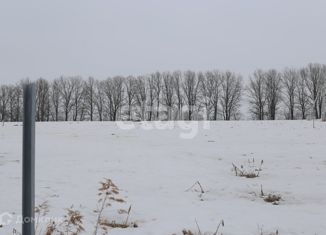 Земельный участок на продажу, 12 сот., деревня Новая Знаменка, Р-132, 694-й километр