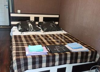 Квартира в аренду студия, 24 м2, Миасс, улица Степана Разина, 14А