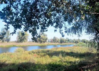 Продам земельный участок, 6000 сот., село Болхуны