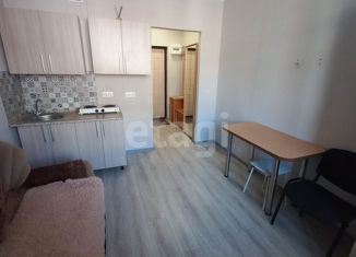 Продается квартира студия, 16.9 м2, Краснодар, улица Цезаря Куникова, 18лит3, ЖК Арбатский