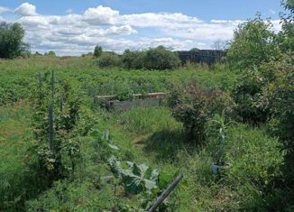 Продаю дом, 100 м2, село Ницинское, Луговая улица