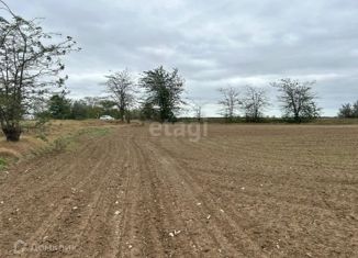 Продается земельный участок, 306.5 сот., Чистенское сельское поселение