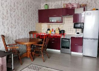 Продам 2-комнатную квартиру, 63.9 м2, Новосибирск, улица Дмитрия Шмонина, 1