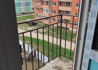 1-комнатная квартира на продажу, 23.7 м2, посёлок Краснодарский, посёлок Краснодарский, 1