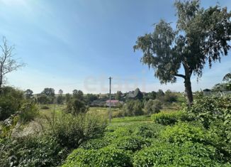 Продажа дома, 50 м2, село Елисеевичи, село Елисеевичи, 47