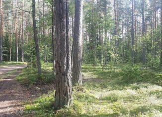 Продается земельный участок, 15 сот., Ромашкинское сельское поселение