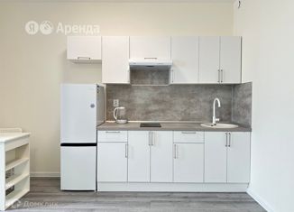 Сдам в аренду квартиру студию, 27 м2, посёлок Парголово, Михайловская дорога, 16к3