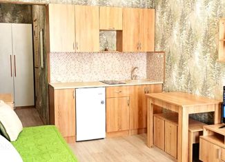 Квартира на продажу студия, 21.2 м2, Горячий Ключ, Рябиновая улица, 2Вк2