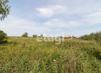 Продаю участок, 29.7 сот., село Исетское, улица Механизаторов