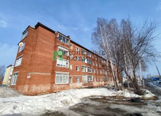 Продажа 3-комнатной квартиры, 62 м2, деревня Хохряки, Тепличная улица, 7