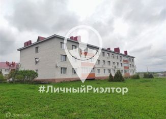 Продажа 2-комнатной квартиры, 53.6 м2, рабочий посёлок Александро-Невский, Солнечная улица, 20