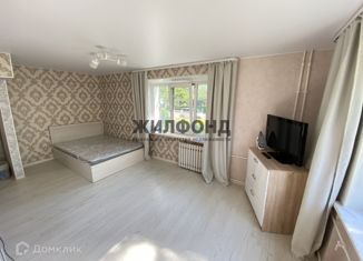 Продается 1-комнатная квартира, 30.5 м2, рабочий посёлок Вулканный, Центральная улица, 14