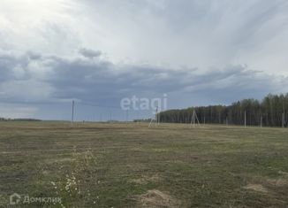 Продам земельный участок, 10 сот., деревня Нолька, Центральная улица