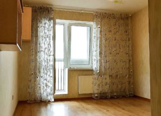 Продам квартиру студию, 24.6 м2, Санкт-Петербург, метро Рыбацкое