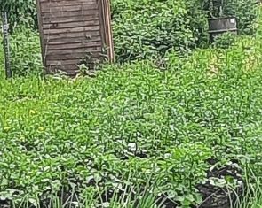 Продаю участок, 400 сот., село Новоандреевка