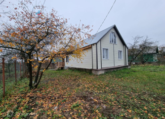 Продажа дома, 45 м2, деревня Цибино, Центральная улица, 96