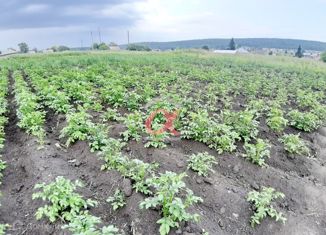 Продается земельный участок, 20 сот., село Топки, Р-255 Сибирь, 236-й километр