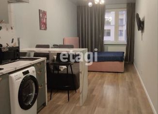 Сдам квартиру студию, 30 м2, Санкт-Петербург, Московский проспект, 183-185Б, ЖК Граф Орлов