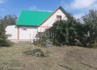 Продам дом, 120 м2, село Елизаветовка, улица Шишкарева