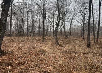 Продается земельный участок, 18 сот., село Ясное