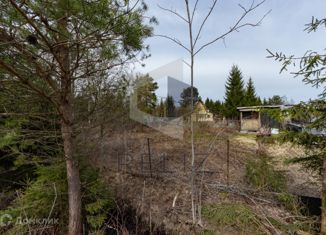 Участок на продажу, 6 сот., садовое товарищество Березняк, садовое товарищество Березняк, 62