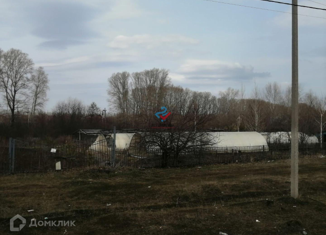 Продажа участка, 342.56 сот., деревня Ягодная