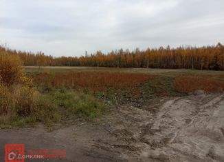 Продажа участка, 100 сот., деревня Капитолово, Центральная улица