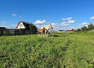 Продам земельный участок, 13.5 сот., село Богашёво