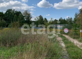 Продажа участка, 40 сот., деревня Рождество, деревня Рождество, 29