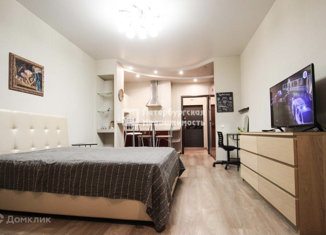 Продажа квартиры студии, 32.6 м2, Санкт-Петербург, улица Орджоникидзе, 59к2, метро Звёздная