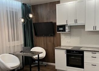 Продам квартиру студию, 30 м2, аул Новая Адыгея, Береговая улица, 3к14, ЖК Мега-Победа