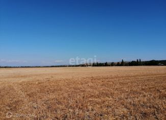 Участок на продажу, 150 сот., Песчановское сельское поселение