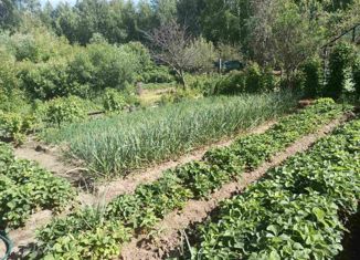 Продаю участок, 4.4 сот., садоводческое некоммерческое товарищество Кристалл, садоводческое некоммерческое товарищество Кристалл, 288