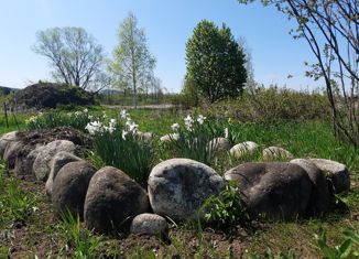 Участок на продажу, 26 сот., село Озеро-Куреево, Береговая улица