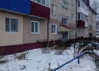 Продается четырехкомнатная квартира, 76.6 м2, деревня Берёзовка, Молодёжная улица, 21