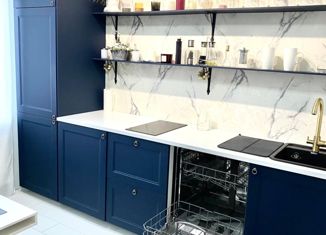 Сдаю в аренду однокомнатную квартиру, 36 м2, Санкт-Петербург, Днепропетровская улица, 65, метро Обводный канал