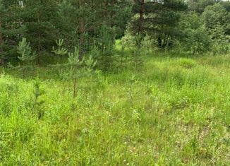 Продаю земельный участок, 9 сот., село Чернцы, Центральная улица