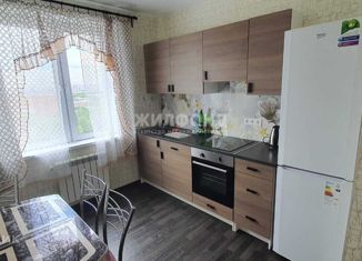 Сдается однокомнатная квартира, 38 м2, Новосибирская область, улица Костычева, 36