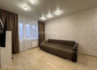 Продается однокомнатная квартира, 29.6 м2, Новосибирск, Рельсовая улица, 1, Рельсовая улица