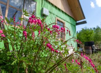 Продается дом, 16 м2, село Ильинка, Совхозная улица