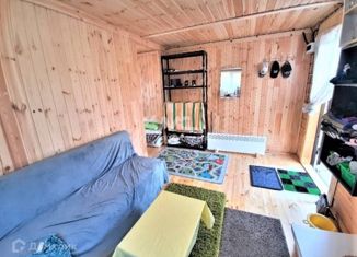 Продажа дома, 30 м2, СНТ Победа, СНТ Победа, 22