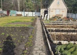 Продажа дома, 27 м2, СНТ Надежда-4, Рябиновая улица