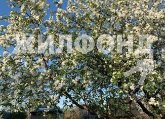 Продам дом, 13.4 м2, Новосибирск, Октябрьский район