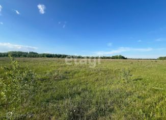 Продаю участок, 1100 сот., посёлок Кунчур