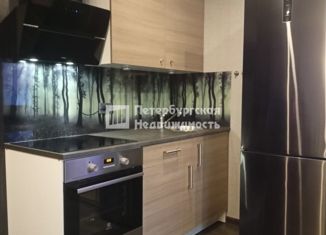 Продаю квартиру студию, 26.6 м2, Мурино, улица Шувалова, 16/9, ЖК Созвездие