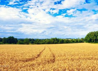 Продажа земельного участка, 130 сот., село Белозёрки