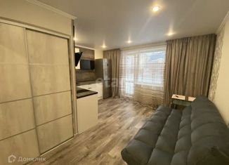 Продажа квартиры студии, 24.1 м2, Миасс, Нечётная улица, 4