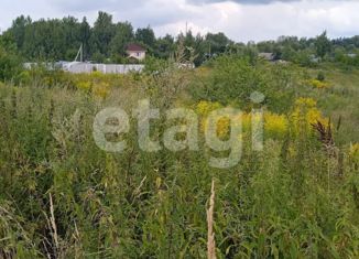 Продам земельный участок, 43 сот., деревня Большие Озерки